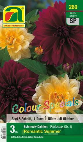 260_2022_Dahlia Romantic Summer_Colour Specials_Gr. I_3 Stk.