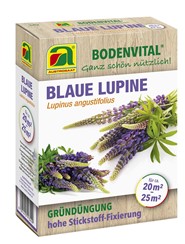 Blaue Lupine:   BODENVERBESSERUNG - HUMUSBILDUNG - STICKSTOFFBINDUNG - SCHUTZ VOR EROSION  