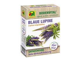 Blaue Lupine:   BODENVERBESSERUNG - HUMUSBILDUNG - STICKSTOFFBINDUNG - SCHUTZ VOR EROSION  