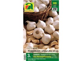 Winter-Pflanzknoblauch:   Winterfest und lagerfähig.